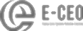 E-CEO